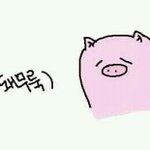 [댓글부탁해] 얼굴비대칭인사람다들어와바 !!!