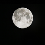 [EXO] 홈<b>마일</b>코사진하면이거지