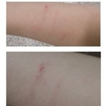 (펌) 아이 노예 취급하는 <b>교사</b>..