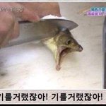 [EXO] <b>생선</b>이목잘리기전에하는말이뭔지알아?ㅋㅋㅋㅋ