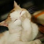 [EXO] 카몽가서매일<b>하루</b>50잔씩<b>커피</b>를시키면