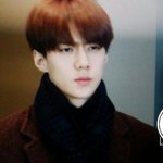 [EXO] 후니 머리는 <b>오대오</b> 할거면 그냥 이 머리 해
