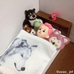 [EXO] 민석이 팬이 민석이 피큐어를 <b>보관</b>하는 <b>방법</b>