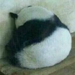 [댓글부탁] 영어<b>단어</b> 어떻게 외움??