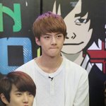 [EXO] 쟤네<b>미자</b>있지않음?