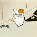 [인피니트] 무대어땠어?