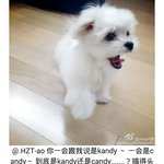 [EXO] 페이 웨이보에 캔디<b>사진</b> 중국어 잘하는애들아 이거<b>뭔</b>말이야?