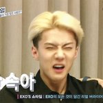 [EXO] 립싱크다뭐다짓걸이는데