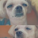 [EXO] 하나하나차단하는것도존나일이겠다