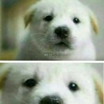 [EXO] 아니 <b>타</b>퀴년들은 잠도 <b>안</b> 자냐