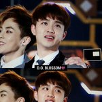 [도경수] 도경수 머리 이렇게 이쁘게 볶아놓고