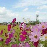 [EXO] 야 나만 애들 고기구워먹을때 쇼탐때 경수랑