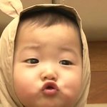 [EXO] 어그로 가족 <b>멀쩡</b>함?