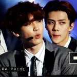 [EXO] 애미야국이너무짜구나
