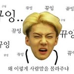 [EXO] 야 나 오세훈<b>닮음</b>