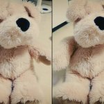 [EXO] 애들아 곰인형 어떻게 빨아?