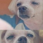 [EXO] 지금 나만 조카<b>질질</b>짜고있냐