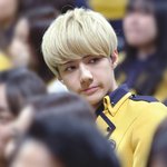 [EXO] 야 <b>폴햄</b> 니트사려는데 어떰?