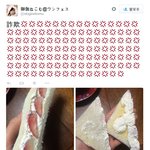 [콜로라도] 어느 <b>열도</b>녀가 한국에 여행와서 화가 난 이유...