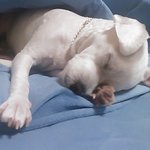 잠자는 공쥬<b>난이</b>