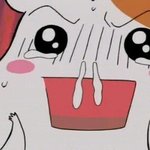 [EXO] 헐ㅁㅊ대박이다진짜