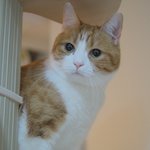 [유봉이네] 친절해진 유봉씨(유봉이네)