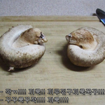 [댓글부탁해] <b>병맛</b>대회