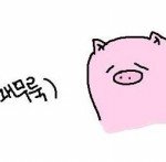 [EXO] 배우중에 강남 유명 <b>술집</b>에서 캐스팅 된 애들 많음