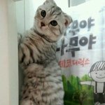 사랑이~