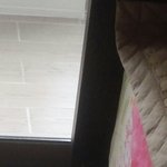 [EXO] 울집 강아지한테 내가 해준<b>요리</b>