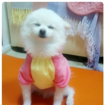 [포밍] <b>새옷</b>입고 요염하ㄱ ㅐ~