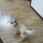 [왕귀비비] 비비사진 <b>투척</b>~