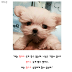 [EXO] 나쁜_타오가_끌리는_이유_캔디<b>ver</b> 