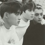 [EXO] 좀 특이하지만