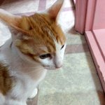 [쁘니단비] 쁘니 <b>단비</b> 근황들~^^