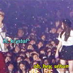 [EXO] <b>여자키</b> 163 남자키 181의 <b>키</b>차이