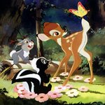 [EXO] 루루 닮은 <b>동물</b>