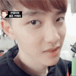 [EXO] 나 이빨보이며 웃을때 경<b>수입</b>이랑 진짜 똑같은데