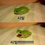 [EXO] ㅍㅍ톡괜히있는줄아냐