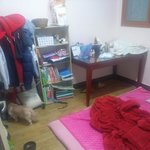 [댓글부탁해] <b>치킨</b> 어디숨켰는지 티남?