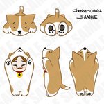 [CHEN] 첸시<b>코기</b> 짱귀엽다