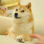 [핵문제<b>개독</b>] <b>개독</b>은 정신병입니다!!