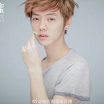 [루한] 첨밀밀 포스터 생얼에 <b>청순미</b> 터지는 루한