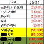 [조언부탁요] ((조언 감사했습니다.) 가계부 예산보고 조언이랑...