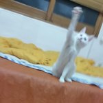 두부이야기3탄!!!!