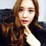 소나무에서 머리 묶은 예쁜애
