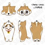 [EXO] 첸시코기 수량조사!!!!