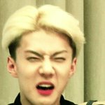 [EXO] 난 커뮤니티 <b>판밖</b>에 안함