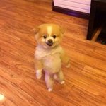 [EXO] 콘서트!광탈! 자살! 취소표! 새벽!두시! 자살!자살...