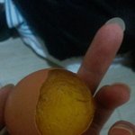 자취방 냉장고가 미쳤어요